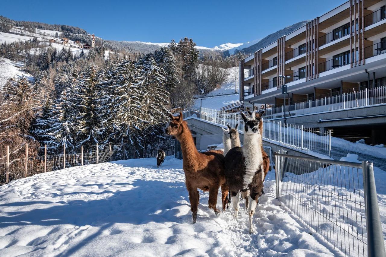 Hotel Torgglerhof Bressanone Exterior photo