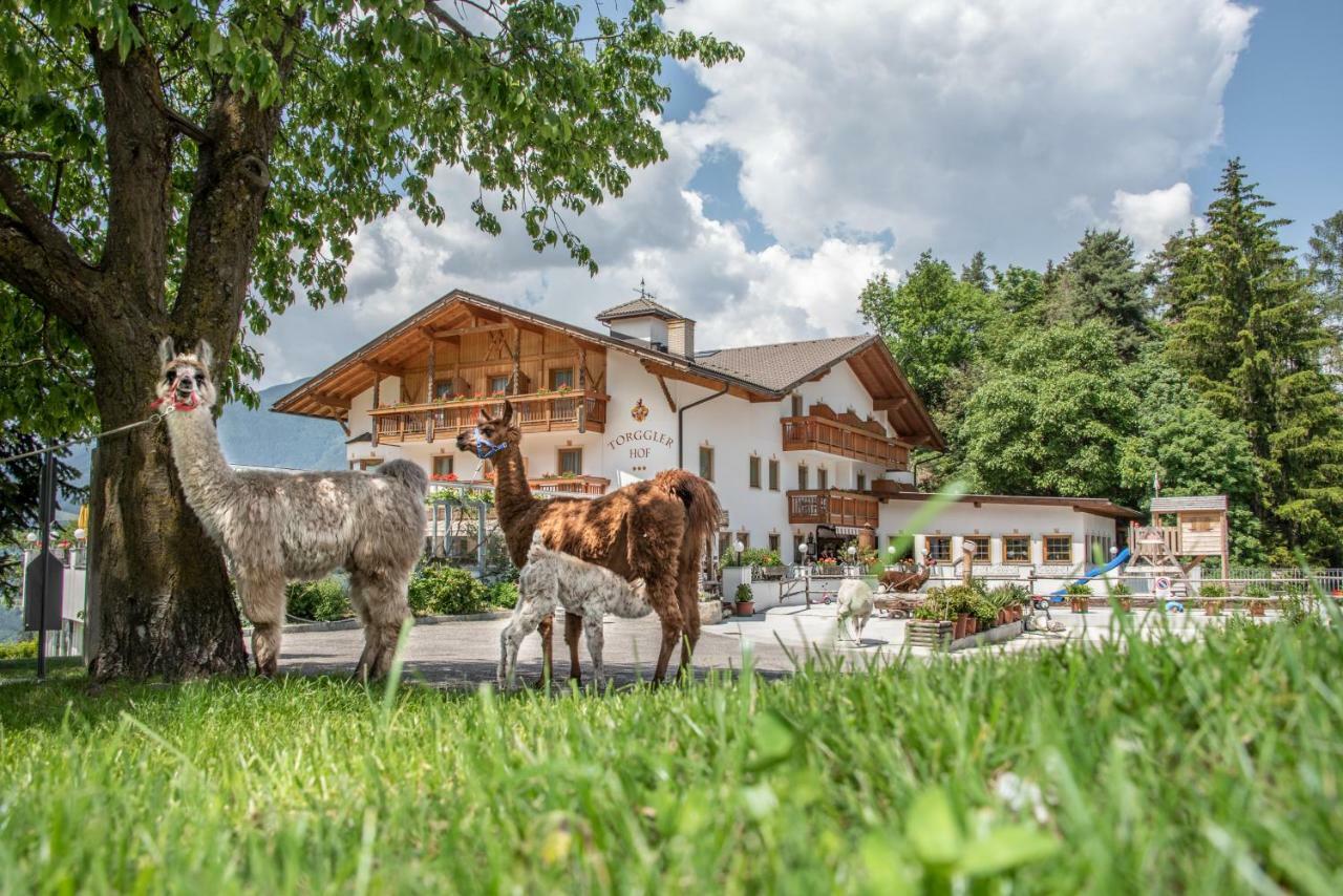 Hotel Torgglerhof Bressanone Exterior photo
